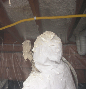 Victoria BC crawl space insulation