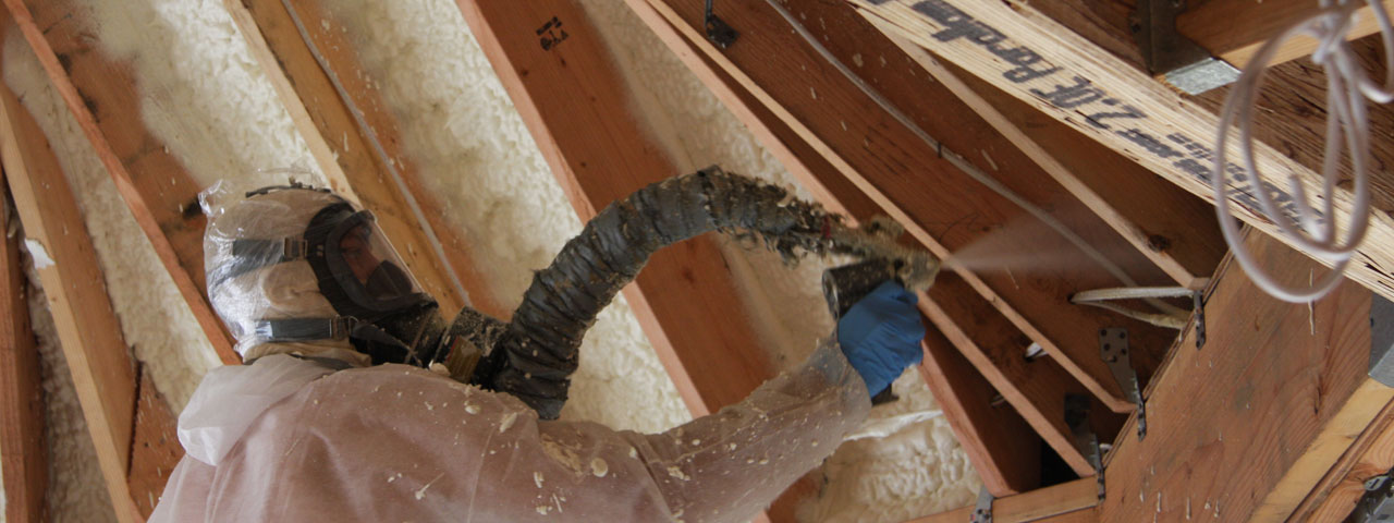 Victoria British Columbia Attic Insulation Spray Foam